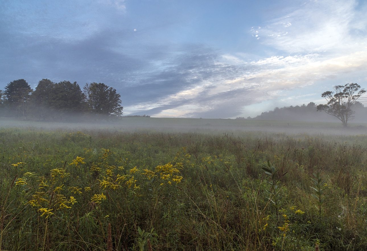 Livingston Manor Real Estate & Property Livingston Manor Homes For Sale